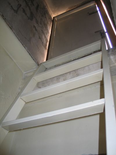 ladder to roof 2